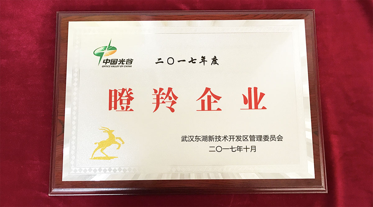 祝賀武漢邁信電氣技術(shù)有限公司榮獲中國光谷2017年度“瞪羚企業(yè)”！