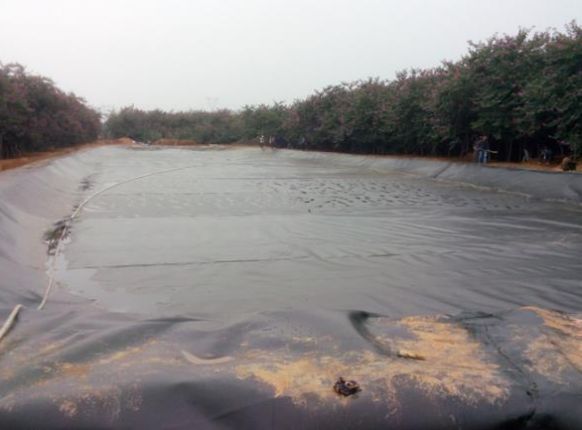 黑膜沼氣池